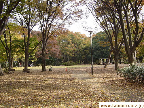 Another park along my ride has Autumn written all over it
