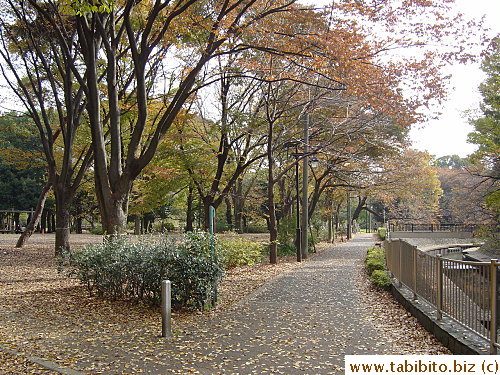 The pathway by the stream is dressed with Autumn leaves
