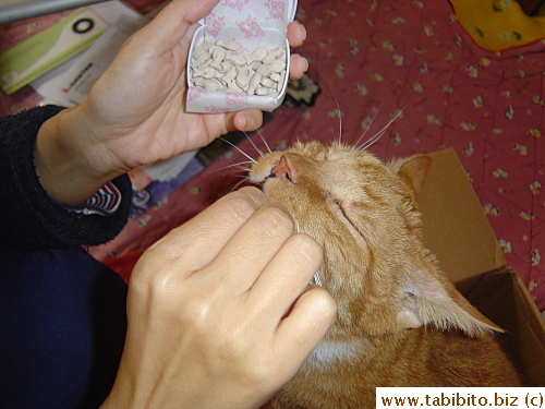 Daifoo totally enjoying the treats