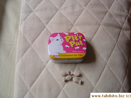 I thought these were for me or cat lovers, hence the fish-shaped food.  I was about to pop one in the mouth when I realized they're cat treats.  A close call
