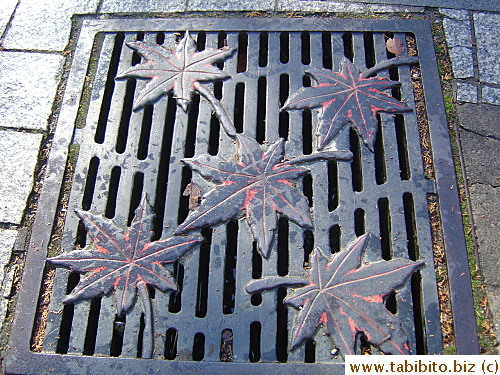 Maple leaves is a big tourist attraction of Takaosan, they are even featured on the grates on the street 