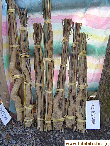 Japanese yam.  These are naturally harvested from the hill, hence the rickety shape (The sign says 