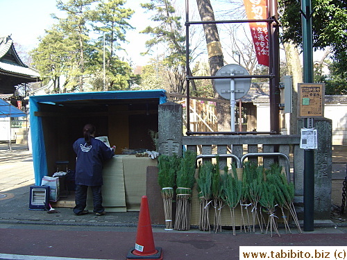 This stall owner is setting up shop to sell pine boughs