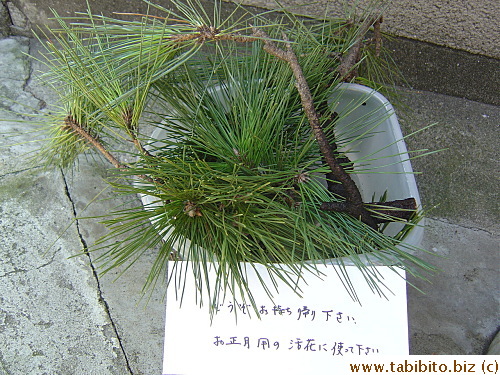 Someone puts out some cut pine for anyone interested. The sign says:Please take it home as live plant decoration for the New Year