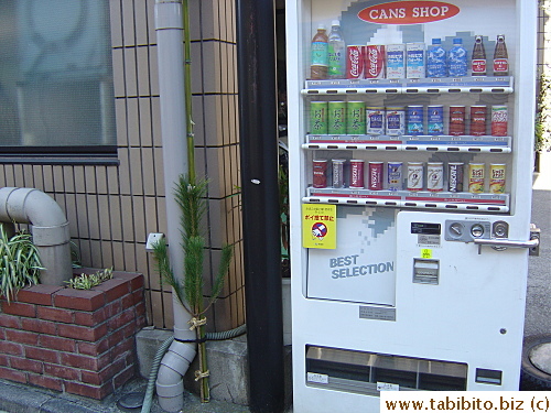 Even a vending machine has a pine at its side. I think people are pretty superstitious here