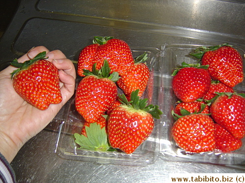 Our first batch of strawberries for this season, there will be many more to come in the next few weeks