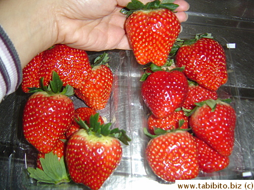 Large succulent and sweet yummy strawberries
