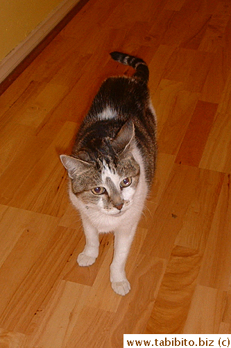 I've chosen some of Mauwi's pictures on the CD to show you, starting with this one. All the photos were taken at my sister's house