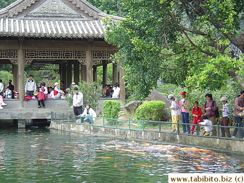 Feeding koi is popular among the locals