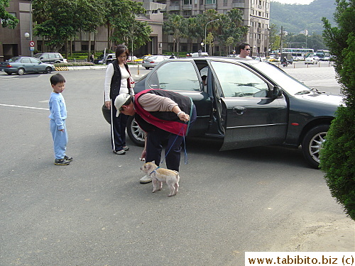 Just as we came out of the garden, we heard the pig squeal. We followed its cry and saw his owner dragging and pulling him into the car