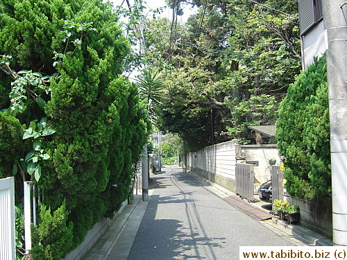 We used to turn right from our apartment lot and walk down this street to go to the station where it is full of noisy cicadas in the summer