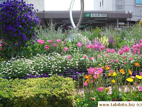 The open area outside JR Machida station is blooming with spring flowers during Golden Week