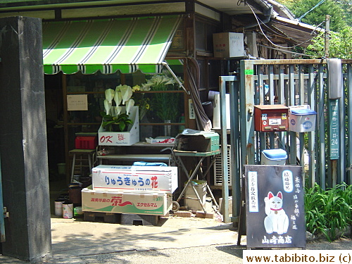 A tiny shop close to the shrine has a maneki neko signboard