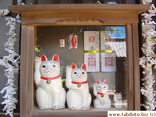 A glass box of a maneki neko family
