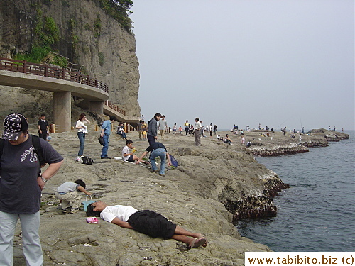 Visitors doing various things on the rocky platforms including sleeping and picking shells
