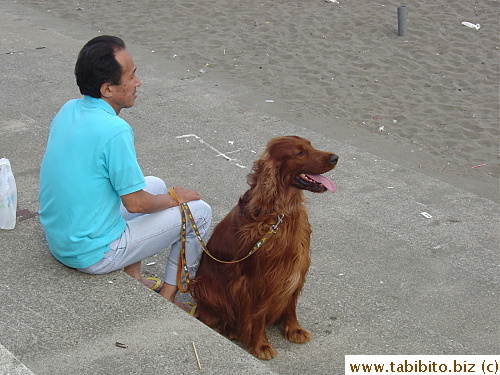 A lucky dog taking a break after a walk on the beach