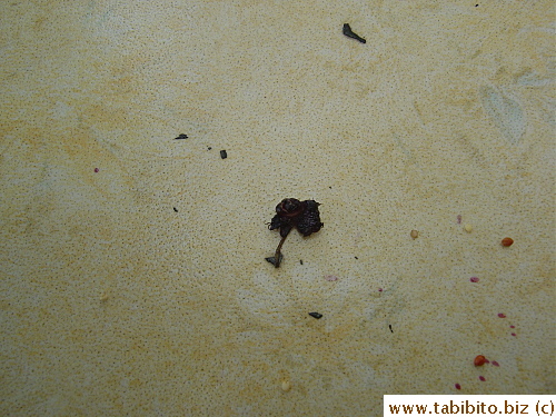 The half-eaten mulberry found in the upstairs balcony