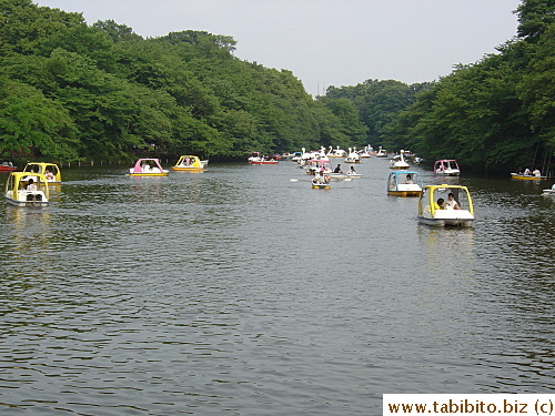 Paddle boats and rowboats fill the lake