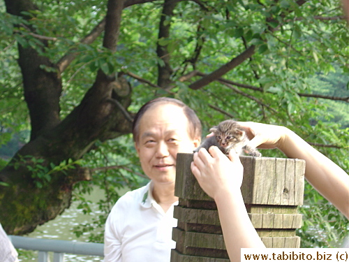 A heartless person removes this kitten from its mom to take its picture and then leaves the kitten on the post (to scare it??) for a brief moment. This person needs to die, soon