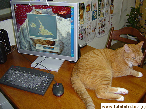 Our dining table in Summer becomes our desk, TV station and Daifoo's bed.  If you think this is crowded, wait till you see what it's like at meal time