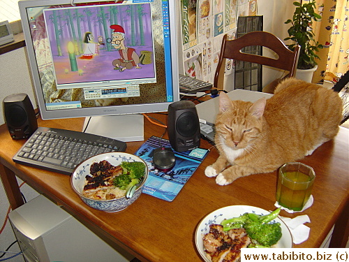 Dinner time. We always watch TV on my computer during meal time, and Daifoo watches our food!