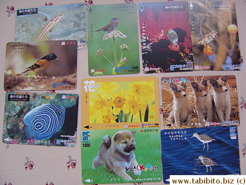 Animals