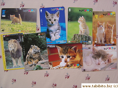 Felines