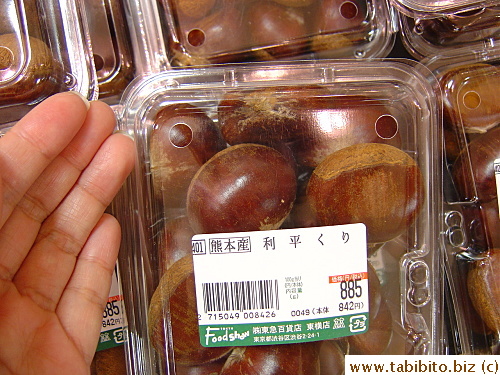 Japanese chestnuts are very large, each one about the size of a small egg