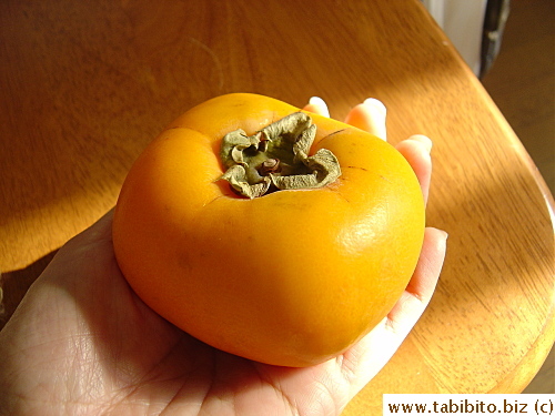 Japanese persimmon