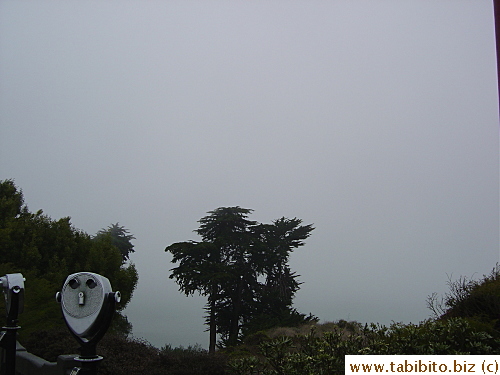 Golden Gate Bridge in foggy condition.  This picture is taken at GGB National Park