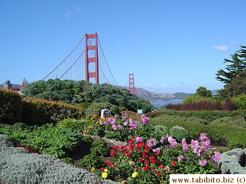 Blooming flowers and Golden gate Bridge