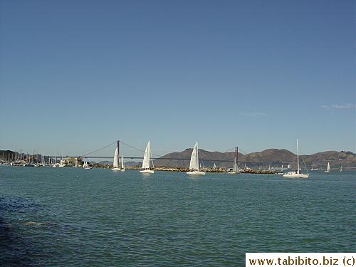 Golden Gate Bridge behind yachts