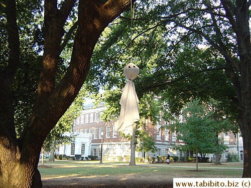 The movie Ghost was to be shown in the student center the day we visited the school, hence this ghost thing on several trees to advertise for the movie