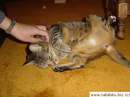 She enjoys a scratch on the neck