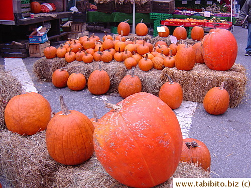 Pumpkins for sale in the Farmers Market, the biggest one's almost one and a half times the size of a bicycle wheel