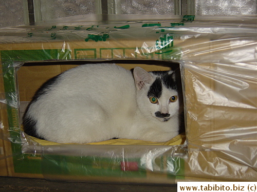 Close-up. The plastic bag waterproofs the cardboard box