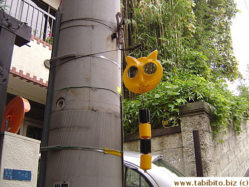 A cat thing with reflective eyes adorns the power pole