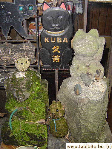 More cats outside the shop