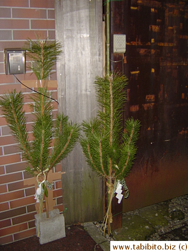 The thinnest door I ever saw.  The pine Kadomatsu looks too fat for it