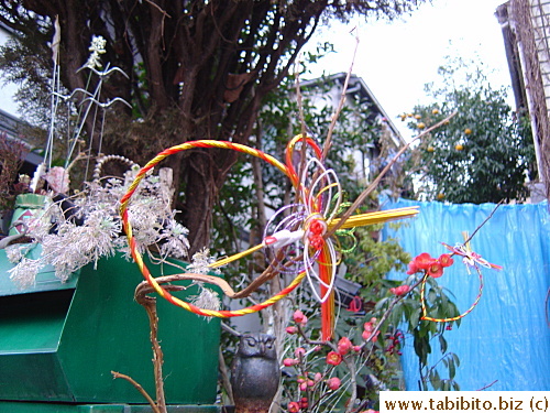 Even plants get decorated