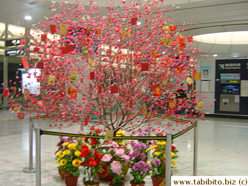 Plum, one of the most popular New Year plants, is on display inside Kowloon Station