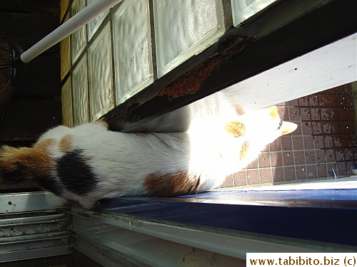 She is now thin enough to enter the balcony through the side