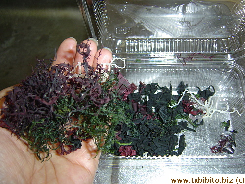 Dehydrated seaweed, the white ones look like plastic ties