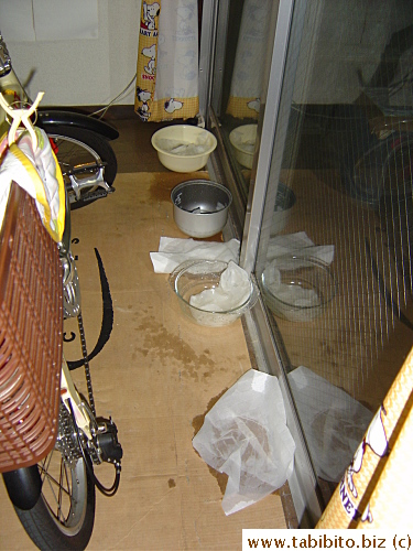 I don't have enough bowls to catch the dripping water