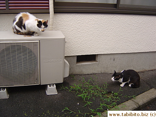 He wouldn't leave her out of his sight