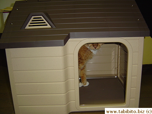 Newly assembled kennel. Daifoo went inside straight away