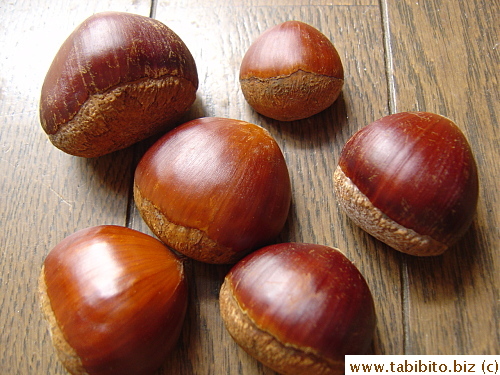 Homegrown chestnuts from our neighbor's colleague