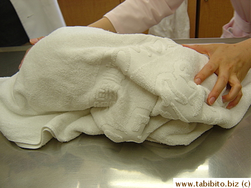 Since Neegau hissed incessantly, the vet had no choice but to conduct the examination and give her treatment with her under the thick towel