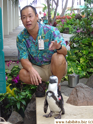 Penguin keeper