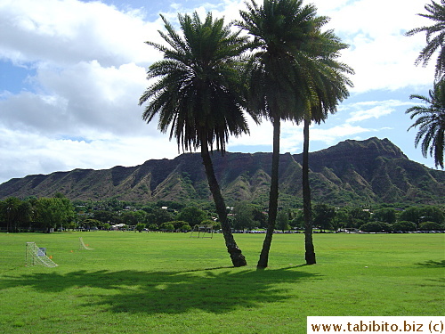 This is as Hawaiian as you get: Diamond Head Crater, palm trees and sunshine